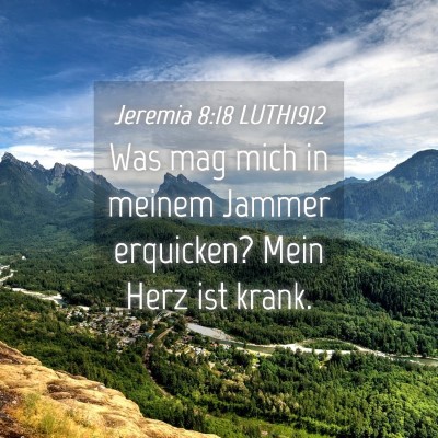 Picture 04 - Jeremia 8:18 LUTH1912 - Was mag mich in meinem Jammer erquicken? Mein - Bible Verse Picture