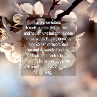 Picture 04 - Jeremia 9:10 LUTH1912 - Ich muß auf den Bergen weinen und heulen und bei - Bible Verse Picture