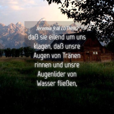 Picture 04 - Jeremia 9:18 LUTH1912 - daß sie eilend um uns klagen, daß unsre Augen - Bible Verse Picture