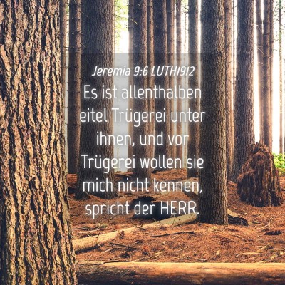 Picture 04 - Jeremia 9:6 LUTH1912 - Es ist allenthalben eitel Trügerei unter ihnen, - Bible Verse Picture