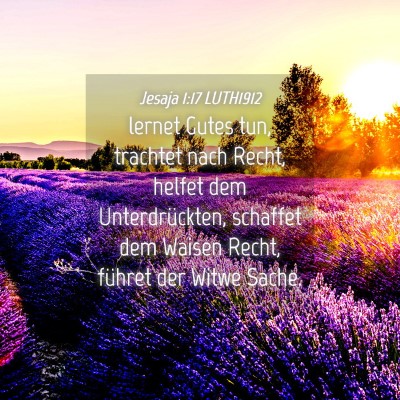 Picture 04 - Jesaja 1:17 LUTH1912 - lernet Gutes tun, trachtet nach Recht, helfet dem - Bible Verse Picture