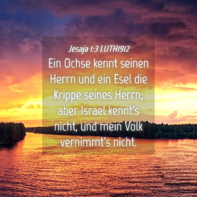 Picture 04 - Jesaja 1:3 LUTH1912 - Ein Ochse kennt seinen Herrn und ein Esel die - Bible Verse Picture