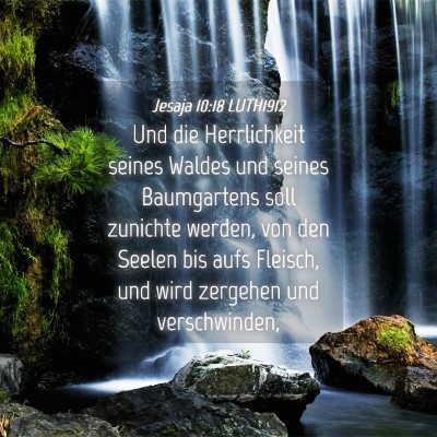 Picture 04 - Jesaja 10:18 LUTH1912 - Und die Herrlichkeit seines Waldes und seines - Bible Verse Picture