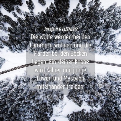 Picture 04 - Jesaja 11:6 LUTH1912 - Die Wölfe werden bei den Lämmern wohnen und die - Bible Verse Picture