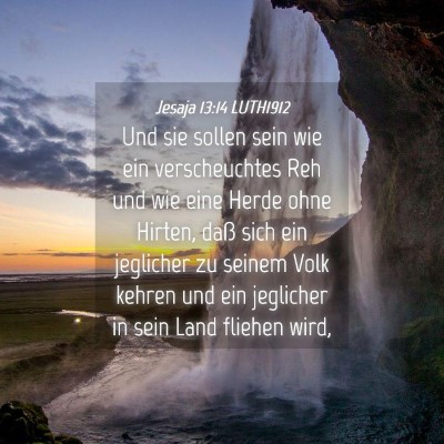 Picture 04 - Jesaja 13:14 LUTH1912 - Und sie sollen sein wie ein verscheuchtes Reh und - Bible Verse Picture
