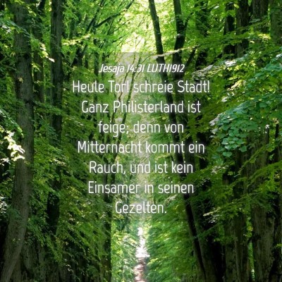 Picture 04 - Jesaja 14:31 LUTH1912 - Heule Tor! schreie Stadt! Ganz Philisterland ist - Bible Verse Picture