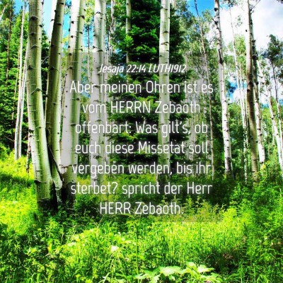 Picture 04 - Jesaja 22:14 LUTH1912 - Aber meinen Ohren ist es vom HERRN Zebaoth - Bible Verse Picture