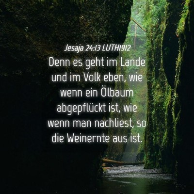 Picture 04 - Jesaja 24:13 LUTH1912 - Denn es geht im Lande und im Volk eben, wie wenn - Bible Verse Picture