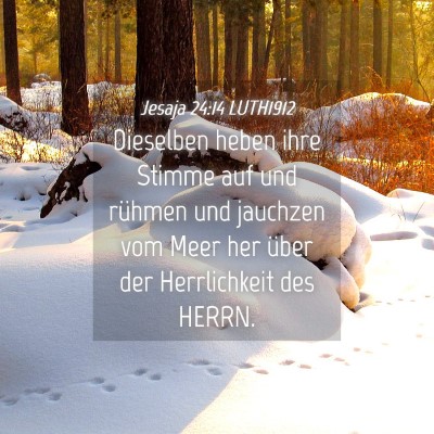 Picture 04 - Jesaja 24:14 LUTH1912 - Dieselben heben ihre Stimme auf und rühmen und - Bible Verse Picture