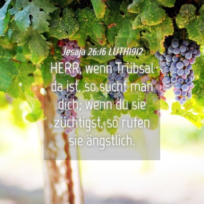 Picture 04 - Jesaja 26:16 LUTH1912 - HERR, wenn Trübsal da ist, so sucht man dich; - Bible Verse Picture