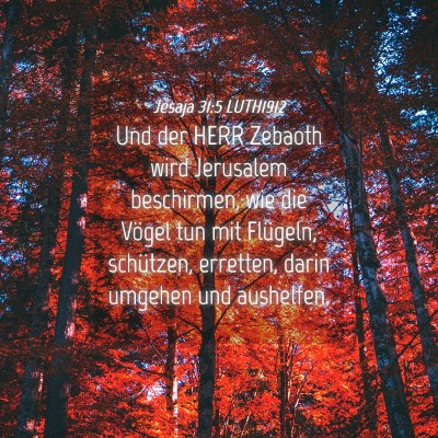 Picture 04 - Jesaja 31:5 LUTH1912 - Und der HERR Zebaoth wird Jerusalem beschirmen, - Bible Verse Picture