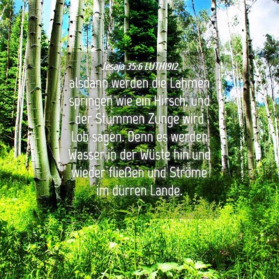 Picture 04 - Jesaja 35:6 LUTH1912 - alsdann werden die Lahmen springen wie ein - Bible Verse Picture
