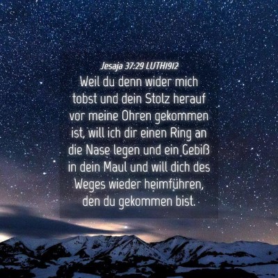 Picture 04 - Jesaja 37:29 LUTH1912 - Weil du denn wider mich tobst und dein Stolz - Bible Verse Picture