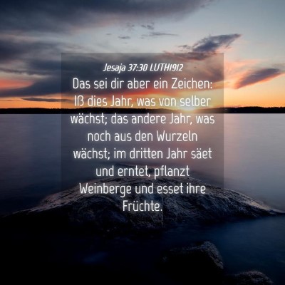 Picture 04 - Jesaja 37:30 LUTH1912 - Das sei dir aber ein Zeichen: Iß dies Jahr, was - Bible Verse Picture