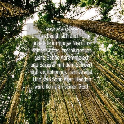 Picture 04 - Jesaja 37:38 LUTH1912 - Und es begab sich auch, da er anbetete im Hause - Bible Verse Picture