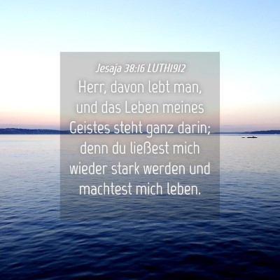 Picture 04 - Jesaja 38:16 LUTH1912 - Herr, davon lebt man, und das Leben meines - Bible Verse Picture