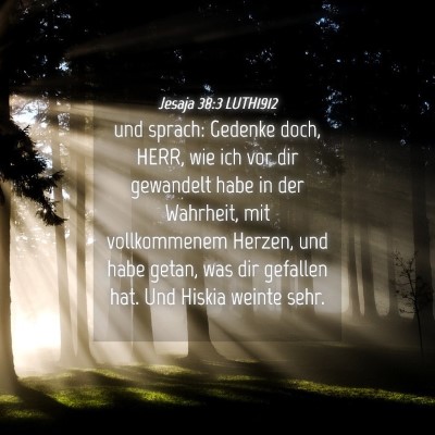 Picture 04 - Jesaja 38:3 LUTH1912 - und sprach: Gedenke doch, HERR, wie ich vor dir - Bible Verse Picture