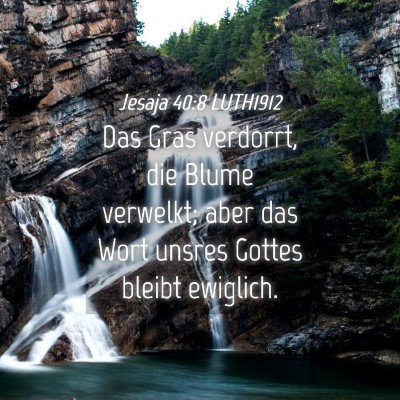 Picture 04 - Jesaja 40:8 LUTH1912 - Das Gras verdorrt, die Blume verwelkt; aber das - Bible Verse Picture