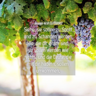 Picture 04 - Jesaja 41:11 LUTH1912 - Siehe, sie sollen zu Spott und zu Schanden werden - Bible Verse Picture
