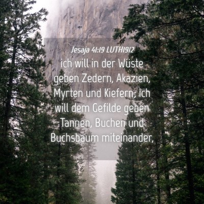 Picture 04 - Jesaja 41:19 LUTH1912 - ich will in der Wüste geben Zedern, Akazien, - Bible Verse Picture