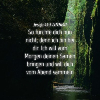 Picture 04 - Jesaja 43:5 LUTH1912 - So fürchte dich nun nicht; denn ich bin bei dir. - Bible Verse Picture