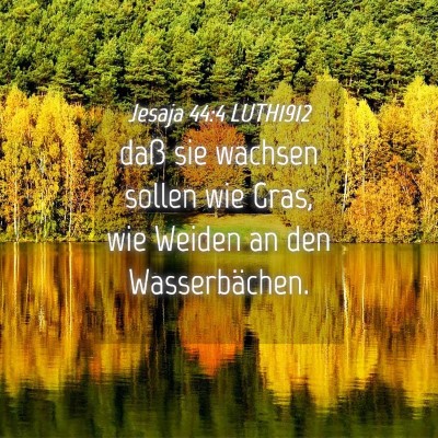 Picture 04 - Jesaja 44:4 LUTH1912 - daß sie wachsen sollen wie Gras, wie Weiden an - Bible Verse Picture
