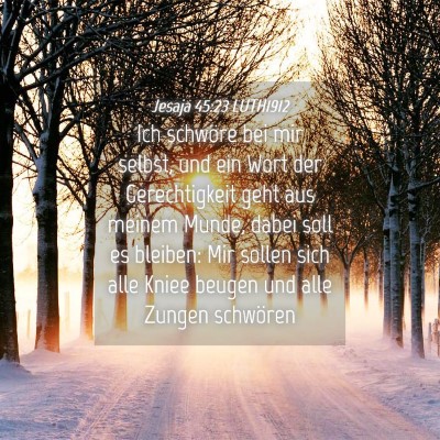 Picture 04 - Jesaja 45:23 LUTH1912 - Ich schwöre bei mir selbst, und ein Wort der - Bible Verse Picture
