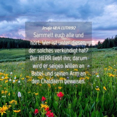 Picture 04 - Jesaja 48:14 LUTH1912 - Sammelt euch alle und hört: Wer ist unter - Bible Verse Picture