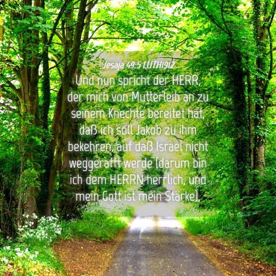 Picture 04 - Jesaja 49:5 LUTH1912 - Und nun spricht der HERR, der mich von Mutterleib - Bible Verse Picture