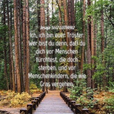 Picture 04 - Jesaja 51:12 LUTH1912 - Ich, ich bin euer Tröster. Wer bist du denn, - Bible Verse Picture