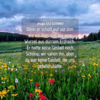 Picture 04 - Jesaja 53:2 LUTH1912 - Denn er schoß auf vor ihm wie ein Reis und wie - Bible Verse Picture