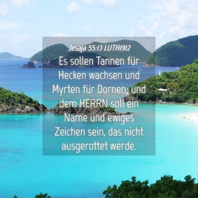 Picture 04 - Jesaja 55:13 LUTH1912 - Es sollen Tannen für Hecken wachsen und Myrten - Bible Verse Picture