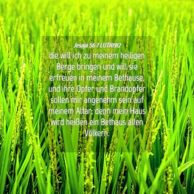 Picture 04 - Jesaja 56:7 LUTH1912 - die will ich zu meinem heiligen Berge bringen und - Bible Verse Picture