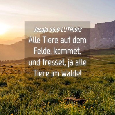 Picture 04 - Jesaja 56:9 LUTH1912 - Alle Tiere auf dem Felde, kommet, und fresset, ja - Bible Verse Picture