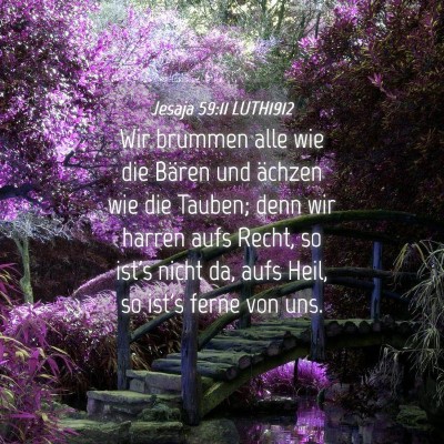 Picture 04 - Jesaja 59:11 LUTH1912 - Wir brummen alle wie die Bären und ächzen wie - Bible Verse Picture