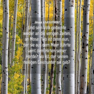 Picture 04 - Jesaja 63:11 LUTH1912 - Und sein Volk gedachte wieder an die vorigen - Bible Verse Picture