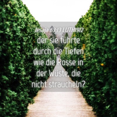 Picture 04 - Jesaja 63:13 LUTH1912 - der sie führte durch die Tiefen wie die Rosse in - Bible Verse Picture