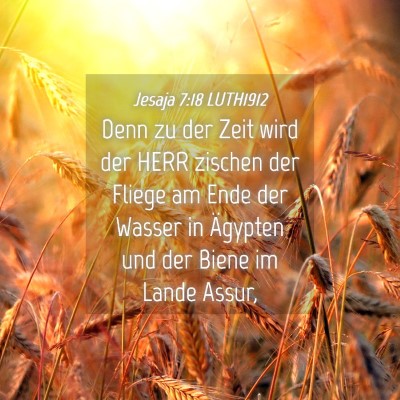 Picture 04 - Jesaja 7:18 LUTH1912 - Denn zu der Zeit wird der HERR zischen der Fliege - Bible Verse Picture