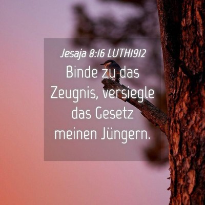 Picture 04 - Jesaja 8:16 LUTH1912 - Binde zu das Zeugnis, versiegle das Gesetz meinen - Bible Verse Picture