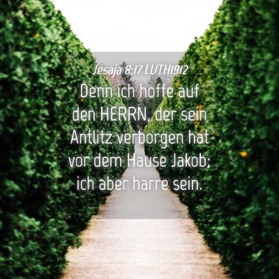 Picture 04 - Jesaja 8:17 LUTH1912 - Denn ich hoffe auf den HERRN, der sein Antlitz - Bible Verse Picture