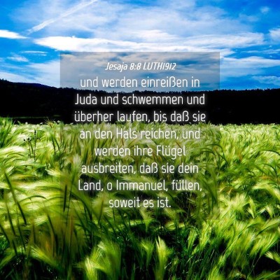 Picture 04 - Jesaja 8:8 LUTH1912 - und werden einreißen in Juda und schwemmen und - Bible Verse Picture