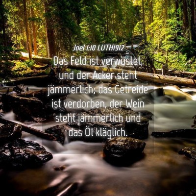 Picture 04 - Joel 1:10 LUTH1912 - Das Feld ist verwüstet, und der Acker steht - Bible Verse Picture