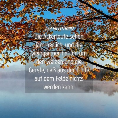 Picture 04 - Joel 1:11 LUTH1912 - Die Ackerleute sehen jämmerlich, und die - Bible Verse Picture