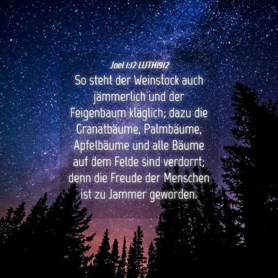 Picture 04 - Joel 1:12 LUTH1912 - So steht der Weinstock auch jämmerlich und der - Bible Verse Picture