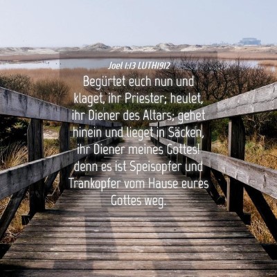 Picture 04 - Joel 1:13 LUTH1912 - Begürtet euch nun und klaget, ihr Priester; - Bible Verse Picture