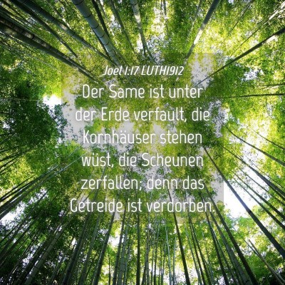 Picture 04 - Joel 1:17 LUTH1912 - Der Same ist unter der Erde verfault, die - Bible Verse Picture