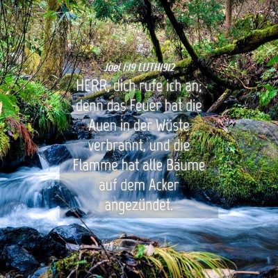 Picture 04 - Joel 1:19 LUTH1912 - HERR, dich rufe ich an; denn das Feuer hat die - Bible Verse Picture