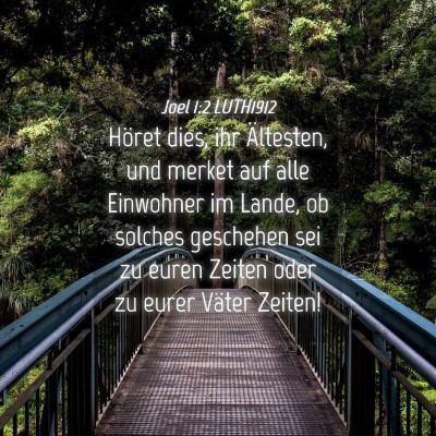 Picture 04 - Joel 1:2 LUTH1912 - Höret dies, ihr Ältesten, und merket auf alle - Bible Verse Picture