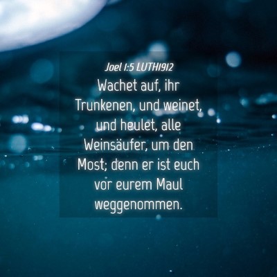 Picture 04 - Joel 1:5 LUTH1912 - Wachet auf, ihr Trunkenen, und weinet, und - Bible Verse Picture