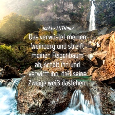 Picture 04 - Joel 1:7 LUTH1912 - Das verwüstet meinen Weinberg und streift meinen - Bible Verse Picture